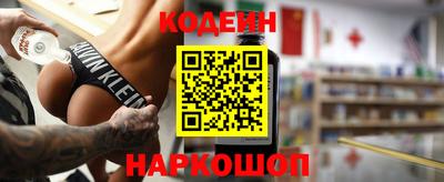 индика Гатчина