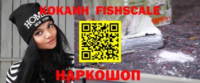 индика Гатчина