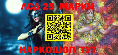 индика Гатчина