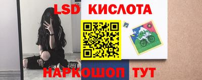 индика Гатчина