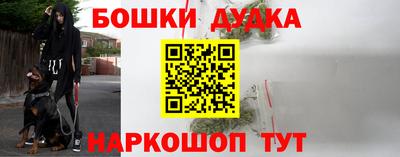 индика Гатчина