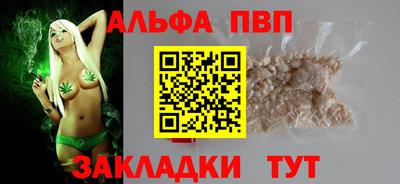 индика Гатчина