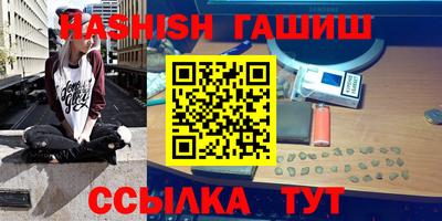 индика Гатчина