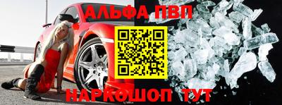 индика Гатчина