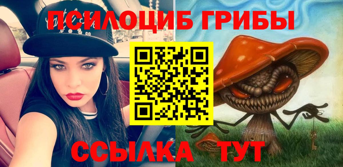 Псилоцибиновые грибы мухоморы  Псилоцибиновые грибы Psilocybine cubensis  Вход с VPN  Нерюнгри 
